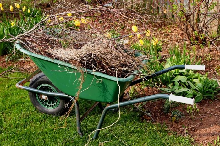 Debris & Junk Removal Yard & Lawn Cleanup Services